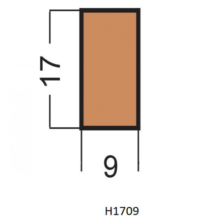 Hranol H1709 17x9x2500 mm